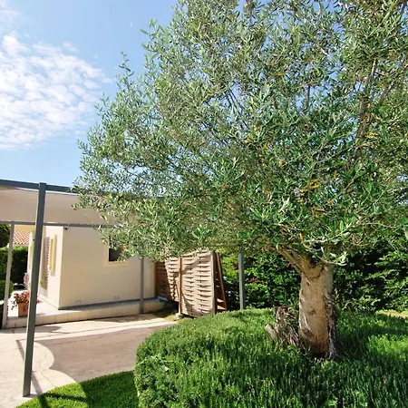 Holiday home Cypress Garden *