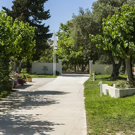 Cypress Garden *