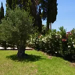 Cypress Garden