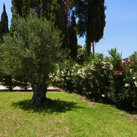 Cypress Garden